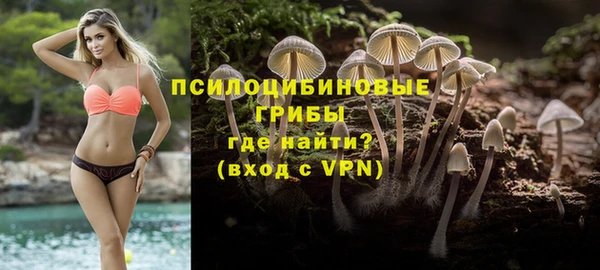 a pvp Няндома