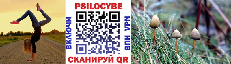 наркошоп  Сим  Псилоцибиновые грибы Psilocybe 